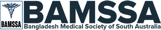 Bamssa Logo
